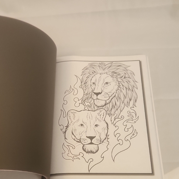 Black and White Dragon Illustration Coloring Book - Picture 2 of 9